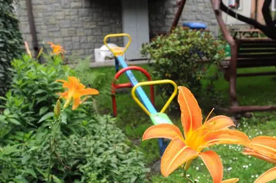 a garden with a flower and a colorful object in the yard at Krakow 360 Apartment in Kraków