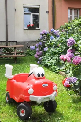 a red toy car in the grass near flowers at Krakow 360 Apartment in Kraków