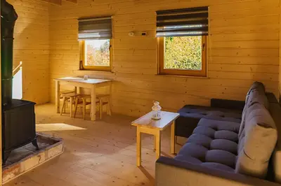 a living room with a couch and a fireplace at Jeżowa Woda Ośrodek Wypoczynkowy Palmiarnia i SPA in Przyszowa
