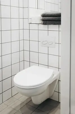 a white toilet in a white tiled bathroom at Jeżowa Woda Ośrodek Wypoczynkowy Palmiarnia i SPA in Przyszowa