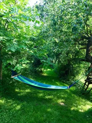 a hammock hanging from a tree in the grass at Ranczo Dziki Sad in Raciechowice