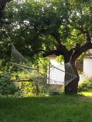 a hammock hanging from a tree in a yard at Ranczo Dziki Sad in Raciechowice