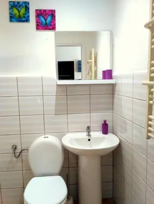 a bathroom with a toilet and a sink at Studio Estery in Kraków