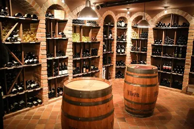 a wine cellar with two wooden barrels and shelves of wine bottles at Dwór Sieraków in Sieraków