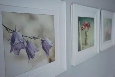 a row of framed pictures on a wall with purple flowers at Margaret Apartments in Kraków