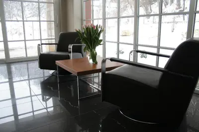 a living room with two chairs and a table with a vase of flowers at Villa Julia in Kraków