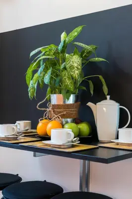 a table with a plate of fruit and a plant at Cracow Best Location Apartment with Garden by Cozyplace in Kraków