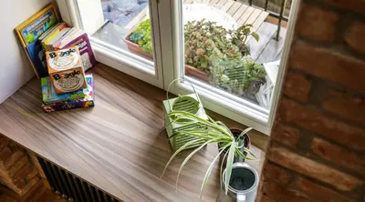 a window with a potted plant on a window sill at Miodowe mieszkanko in Kraków