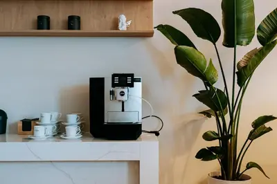 a coffee machine sitting on a counter next to a plant at Mark1 in Brzesko