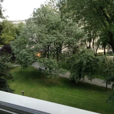 a view of a park with trees and grass at Absolutely Apartment in Kraków