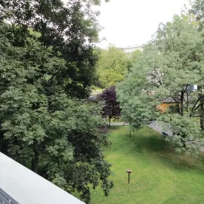 an aerial view of a park with trees and grass at Absolutely Apartment in Kraków