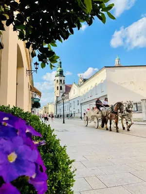 a horse drawn carriage on a city street at Balthazar Design Hotel in Kraków