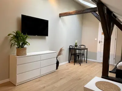 a living room with a flat screen tv on a wall at Apartamenty Delecta in Kraków
