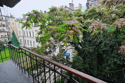 a tree on a balcony with buildings in the background at Urban Nest Apartments Świętego Marka27 in Kraków