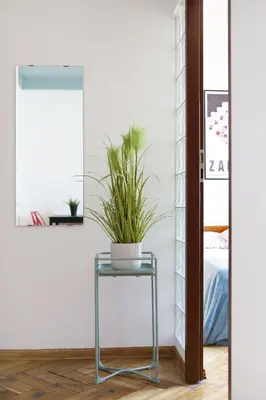 a plant sitting on a table in a room at Classic apartments Pilsudskiego street in Kraków