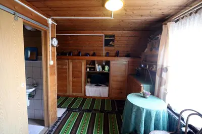 a bathroom with a table and a green rug at EkoPens in Radziszów