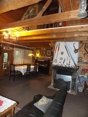 a living room with a couch and a fireplace at EkoPens in Radziszów