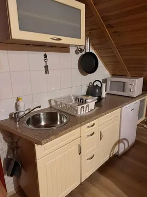 a kitchen with a sink and a microwave at Pokoje Gościnne u Grażyny in Ojców