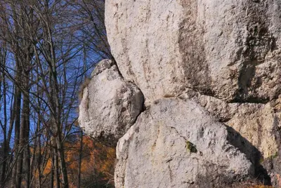 a large rock in the middle of a forest at Pokoje Gościnne u Grażyny in Ojców