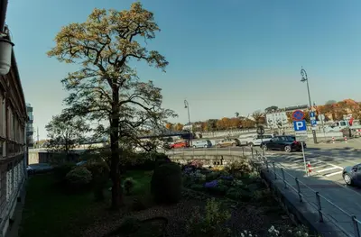 a tree on the side of a street with a parking lot at Apartment Cracow in Kraków