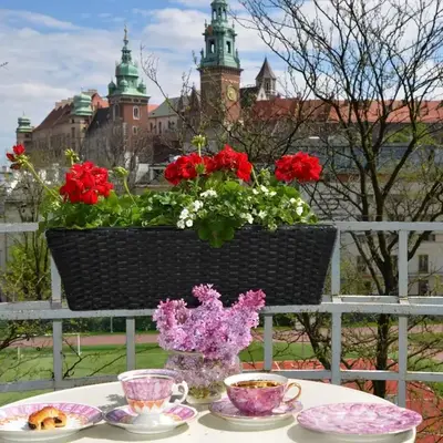 Castle View Boutique Apartment