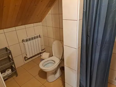a bathroom with a toilet and a blue shower curtain at Zajazd na Podzamczu in Pieskowa Skała