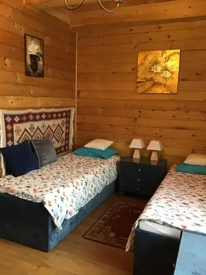 two beds in a room with wooden walls at Jankówka in Wieliczka