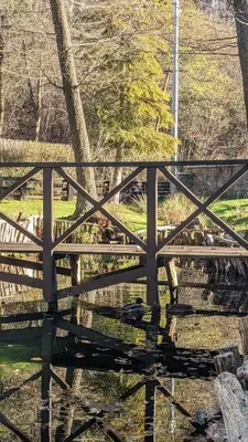 a wooden bridge over a body of water at Agroturystyka SPA in Zelków