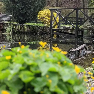 a wooden bridge over a pond with yellow flowers at Agroturystyka SPA in Zelków