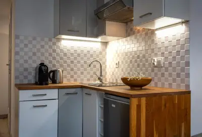 a kitchen with a sink and a bowl on a counter at Solna Atelier in Kraków
