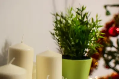 two white candles and a green vase with a plant at Mogilska Tower + garaż in Kraków