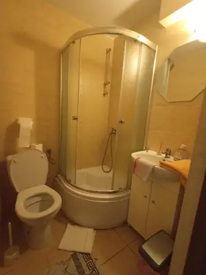 a bathroom with a shower and a toilet and a sink at Pokoje u Zajdy in Zawoja