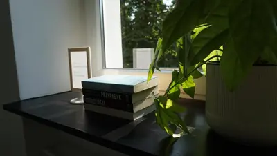 a stack of books sitting on a table with a plant at Lovely Bubbly Apartment in Kraków