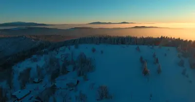an aerial view of a snow covered field with trees at CHATA PACHNĄCA LASEM in Andrychów