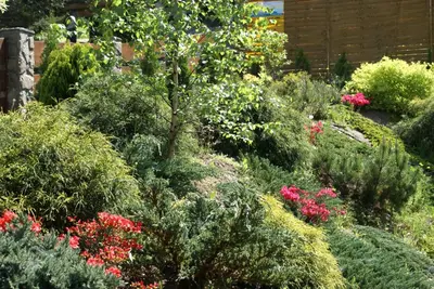 a garden filled with plants and flowers at CHATA PACHNĄCA LASEM in Andrychów