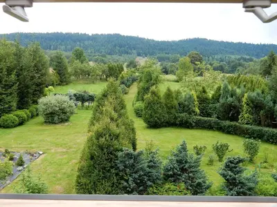 an aerial view of a garden with trees at Agroturystyka 