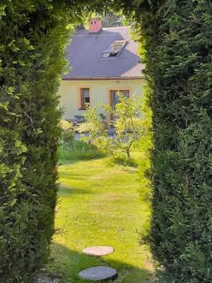 a view of a house through a hedge at Agroturystyka 