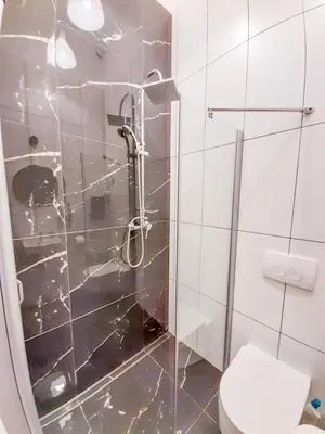 a bathroom with a glass shower with a toilet at LION apartments in Kraków