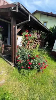 a garden with red flowers in front of a house at Riviera Zator in Zator