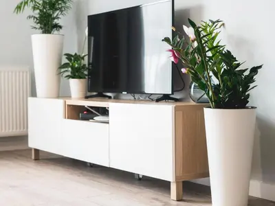 a tv on a white tv stand with two potted plants at Nowe Zabłocie II in Kraków