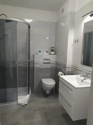 a bathroom with a shower and a toilet and a sink at Villa Centro in Oświęcim