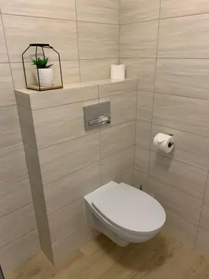 a bathroom with a toilet and a plant on a shelf at Villa Centro in Oświęcim