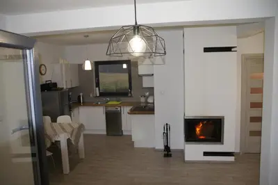 a kitchen and living room with a fireplace in it at Domek Tadeusz in Śleszowice Górne