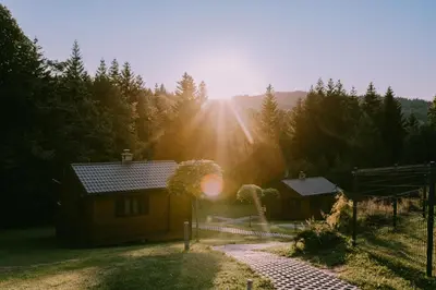 a house with the sun shining through the trees at Domki Pod Jałowcem in Lachowice