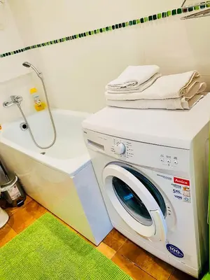 a washing machine in a bathroom next to a bath tub at Apartment in Ivy covered house, near Old Town in Kraków