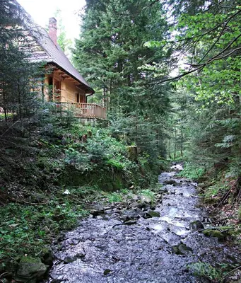 a stream in front of a house in the woods at DOM NAD POTOKIEM in Zawoja