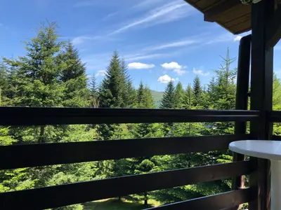 a view from the balcony of a cabin with trees at Mountain Cottage Lubomierz in Lubomierz