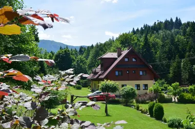 a house in the middle of a green yard with flowers at Zawojka in Zawoja