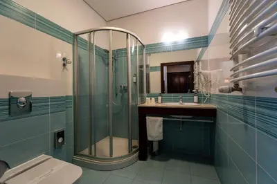 a bathroom with a shower and a sink and a toilet at Grand Sal in Wieliczka