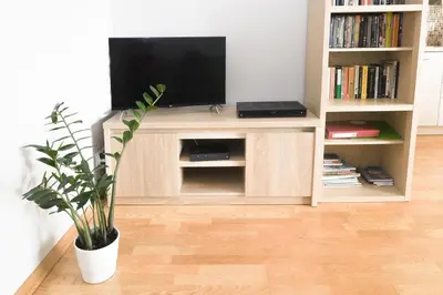 a entertainment center with a television and a potted plant at Cosy and Comfortable Apartment in Cracov in Kraków